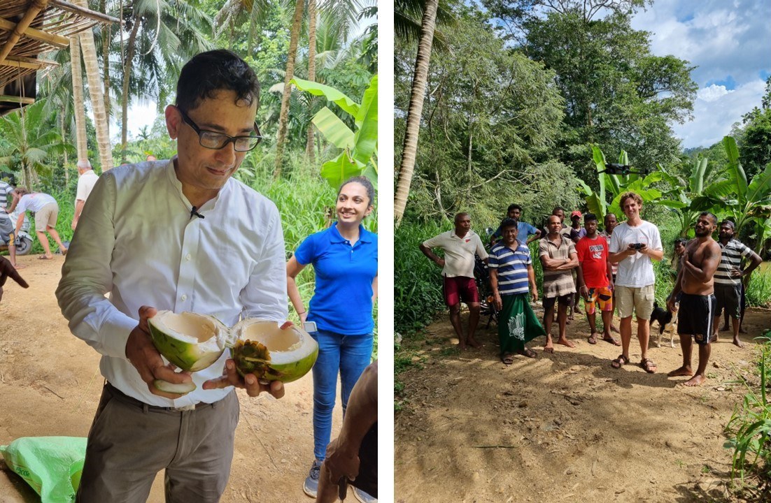 Fresh King Coconut and Drone Time