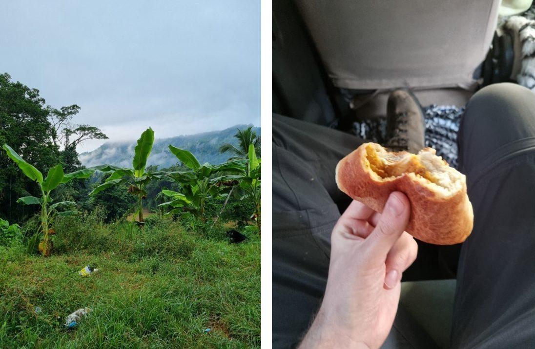 Winding mountain roads twist through the jungle and a fresh spiced fish bun to go